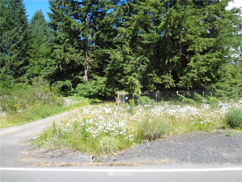 276 Hawkins Road Winlock, WA 98596 - Photo 1 of 9