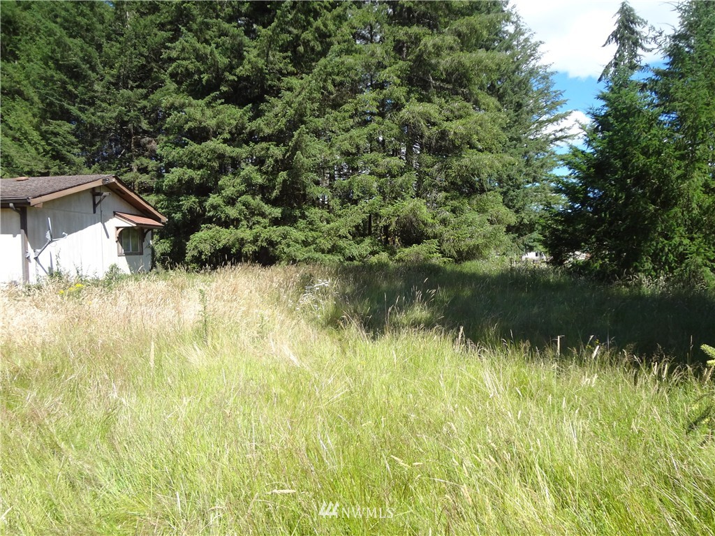 276 Hawkins Road Winlock, WA 98596 - Photo 5 of 9
