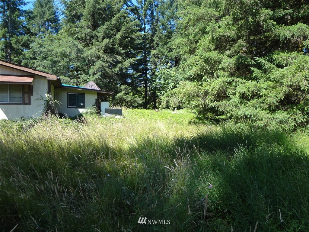 276 Hawkins Road Winlock, WA 98596 - Photo 6 of 9