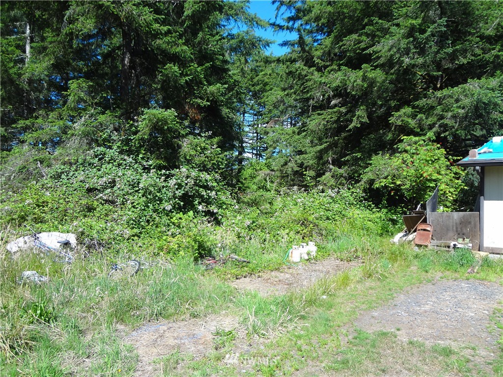 276 Hawkins Road Winlock, WA 98596 - Photo 7 of 9