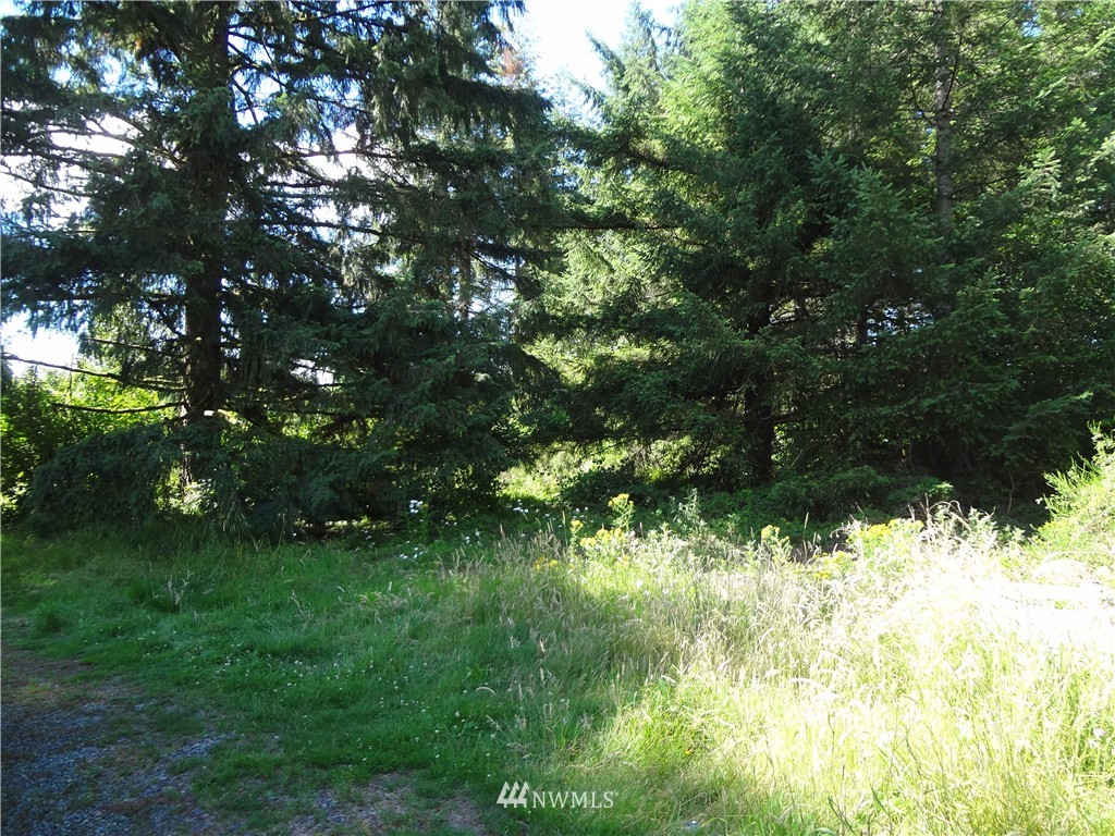 276 Hawkins Road Winlock, WA 98596 - Photo 8 of 9