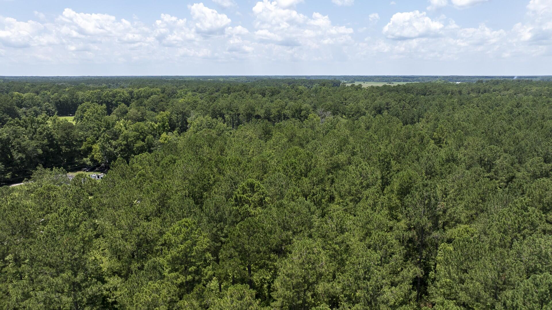 0 Toney Bay Road, Unit 3 Holly Hill, SC 29059 - Photo 33 of 36 Toney Bay-33