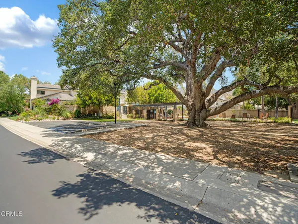 a view of road with trees
