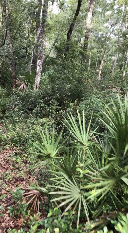 Tbd Jefferson Road Tallahassee, FL 32317 - Photo 5 of 12 Gallery Image 5