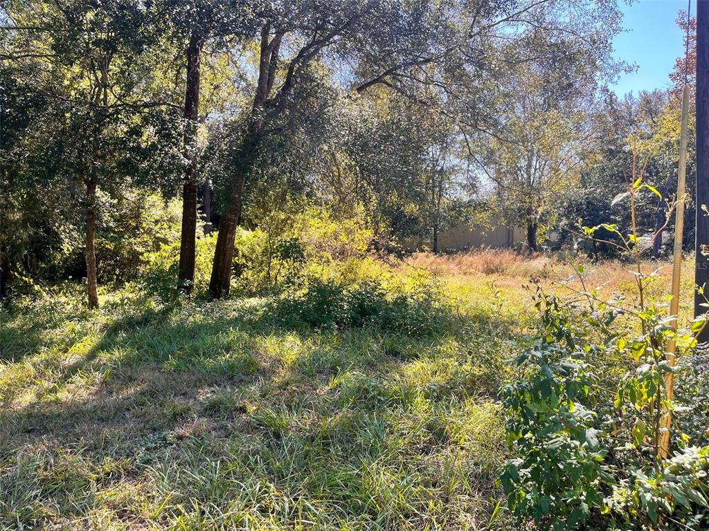 0 Southwest 134th Avenue Archer, FL 32618 - Photo 3 of 9 a view of a yard with a tree