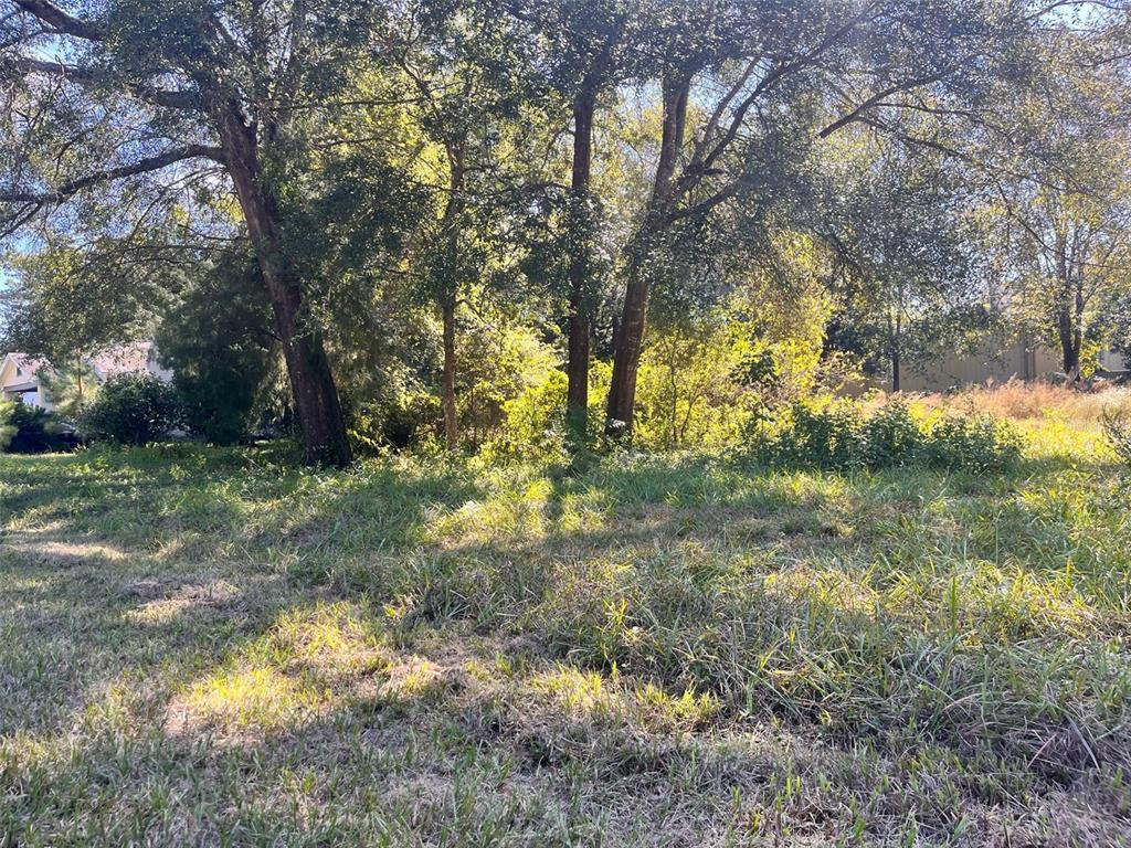 0 Southwest 134th Avenue Archer, FL 32618 - Photo 4 of 9 a view of backyard with green space