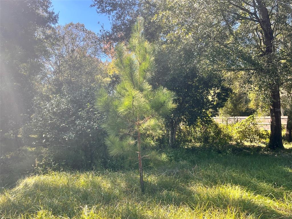 0 Southwest 134th Avenue Archer, FL 32618 - Photo 6 of 9 a view of lake with green space