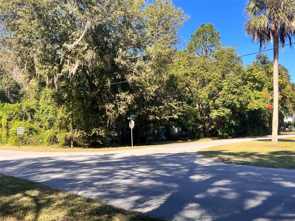 0 Southwest 134th Avenue Archer, FL 32618 - Photo 7 of 9 a view of yard with palm trees