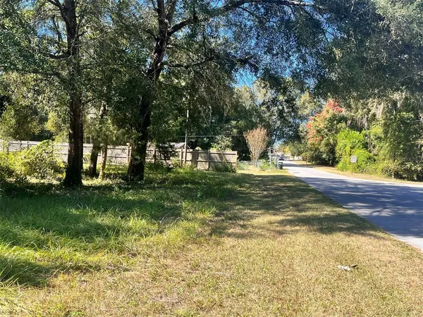 a view of yard with green space