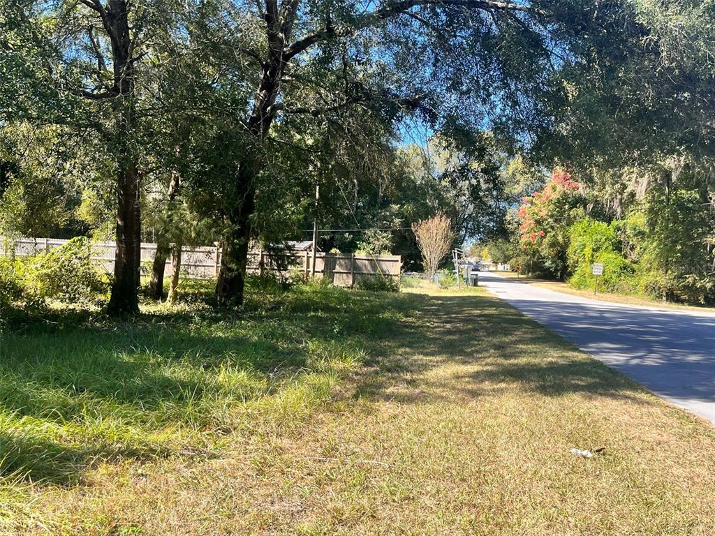 0 Southwest 134th Avenue Archer, FL 32618 - Photo 8 of 9 a view of yard with green space