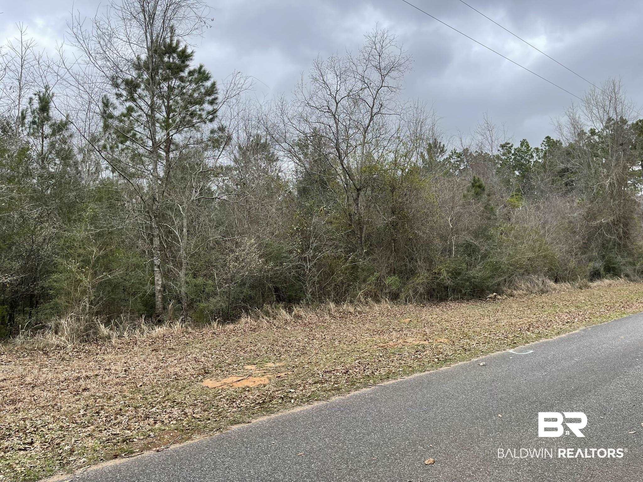 Glass And Spivey Road Robertsdale, AL 36567 - Photo 2 of 4 View of road