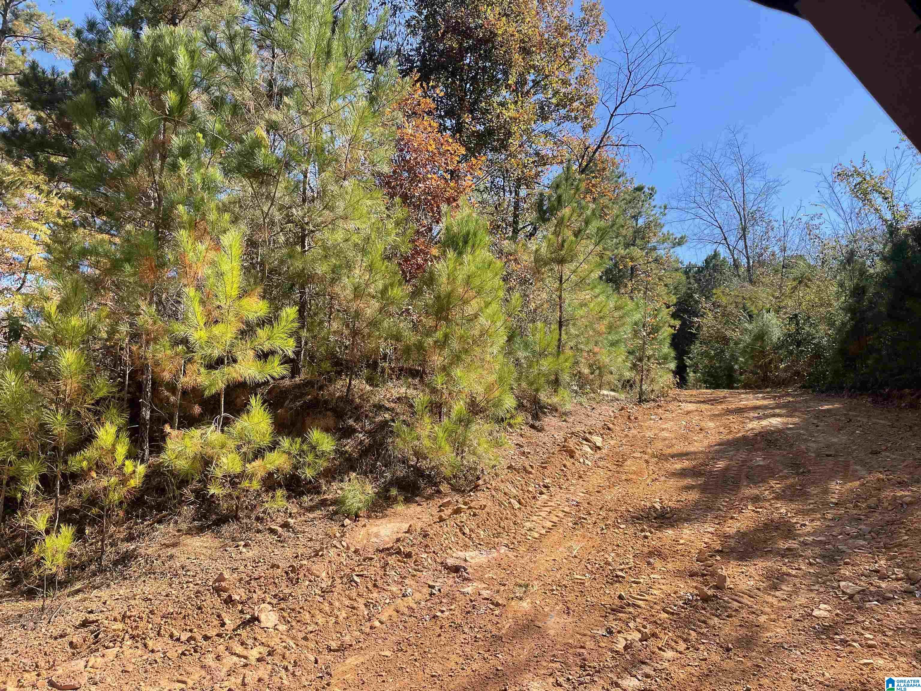 8760 Marsh Mountain Road, Unit 223 Pinson, AL 35126 - Photo 36 of 51
