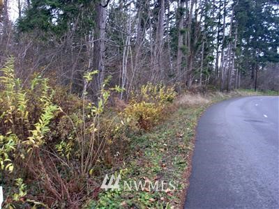 217 South Bellflower Road Bothell, WA 98012 - Photo 1 of 1