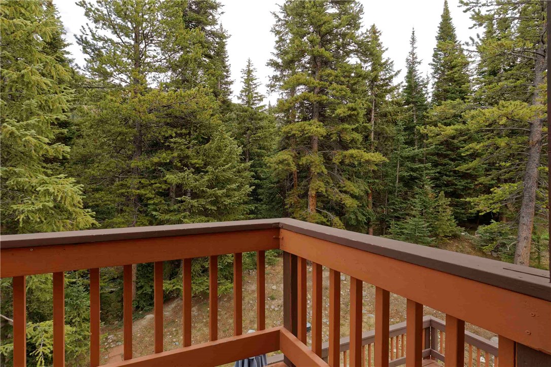 223 Range Road Breckenridge, CO 80424 - Photo 17 of 25 Master deck.