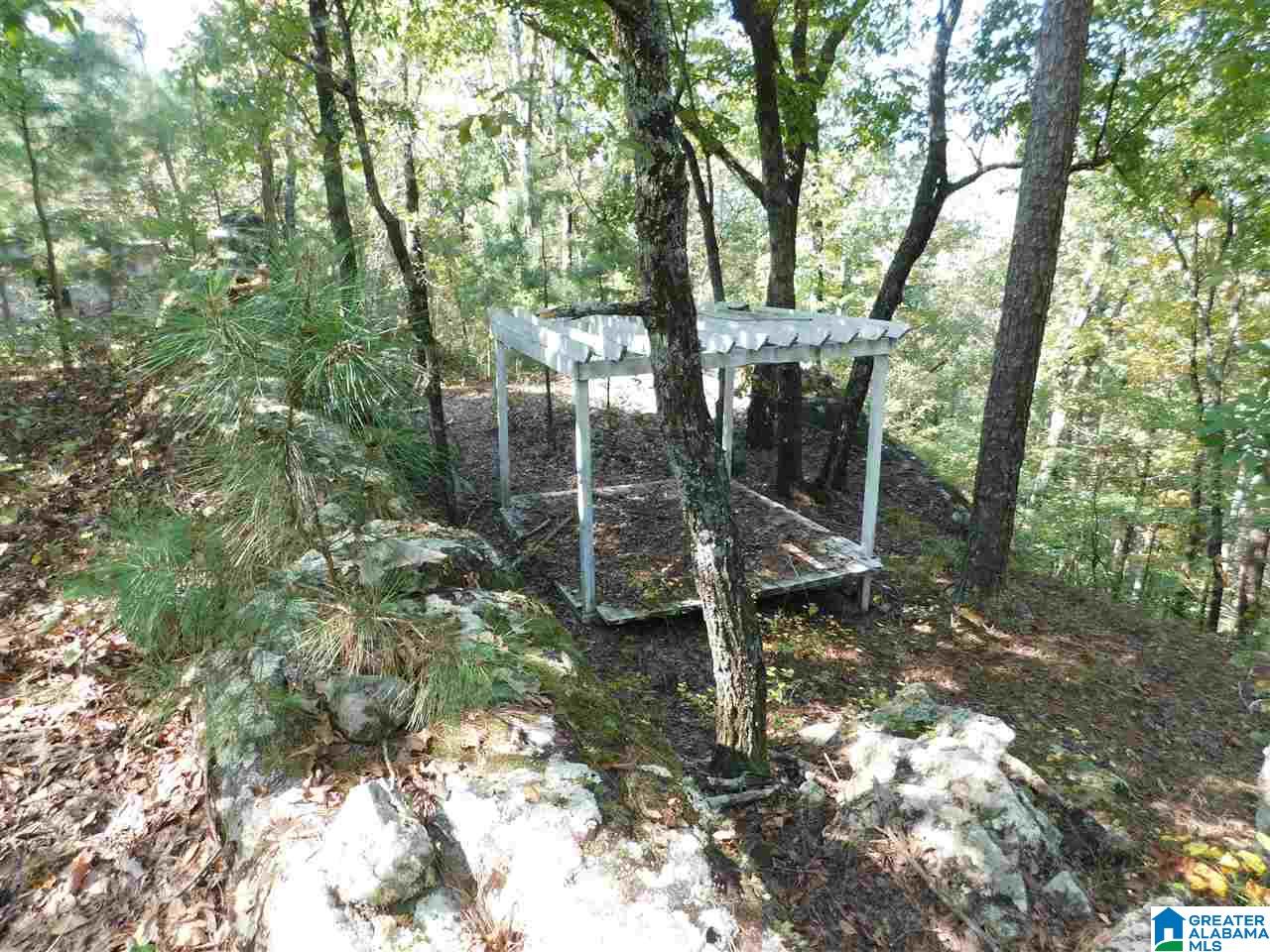1005 Sims Road Oneonta, AL 35121 - Photo 7 of 9