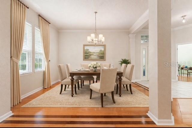 5703 Eaglepoint Place Lithia, FL 33547 - Photo 27 of 34