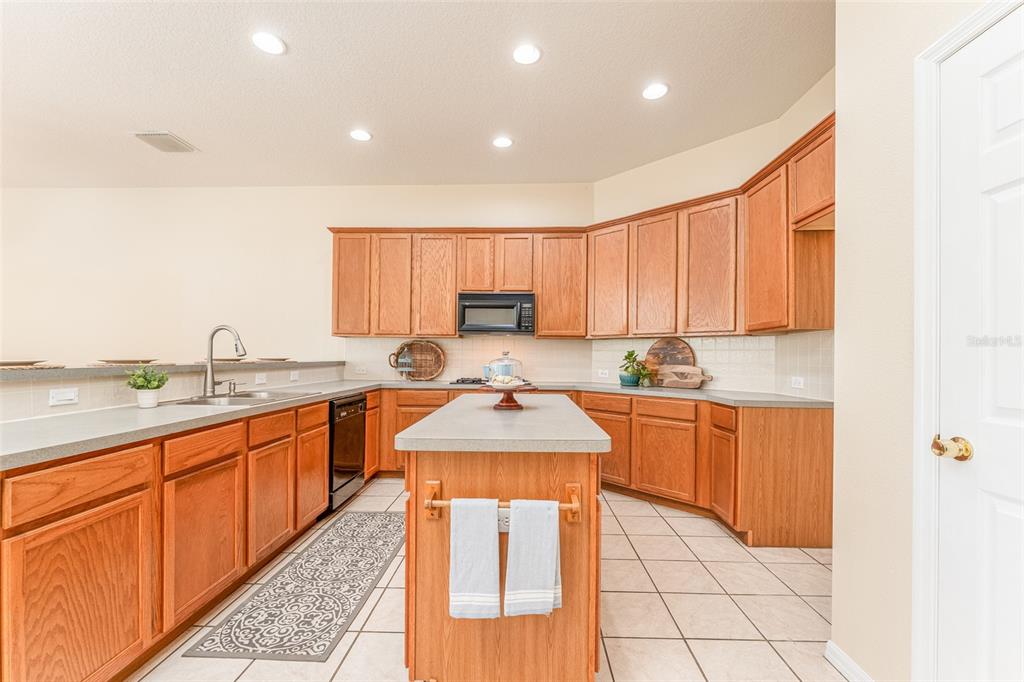 5703 Eaglepoint Place Lithia, FL 33547 - Photo 28 of 34