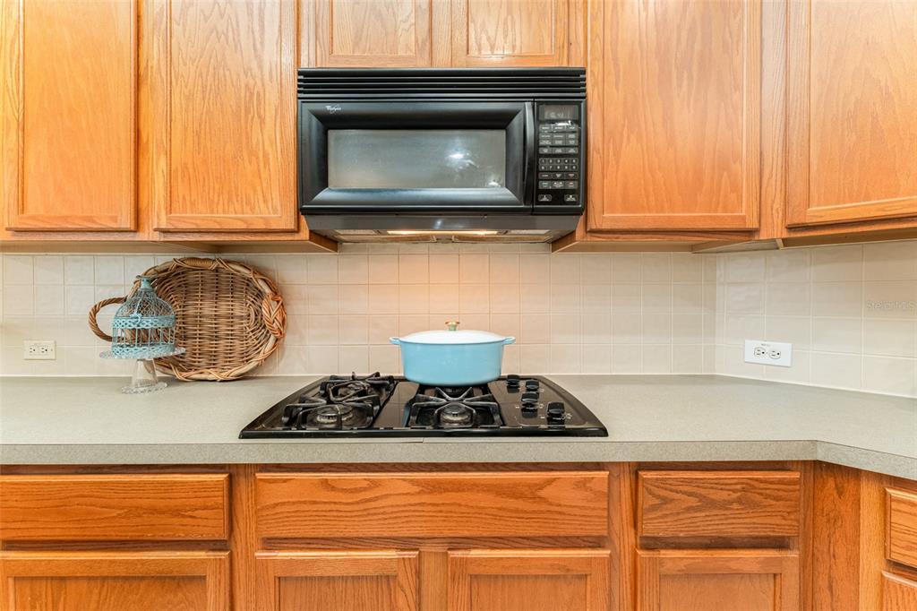 5703 Eaglepoint Place Lithia, FL 33547 - Photo 30 of 34