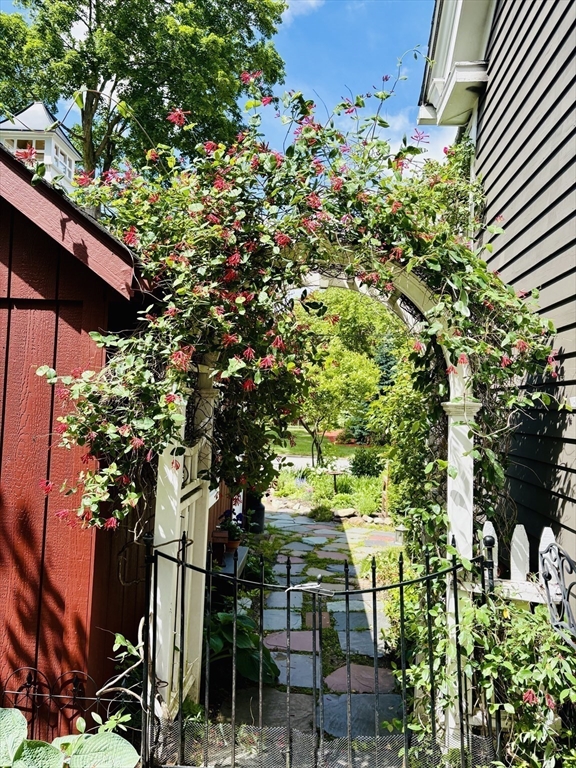 20 Auburn Street Chicopee, MA 01013 - Photo 35 of 36 a picture of flowers