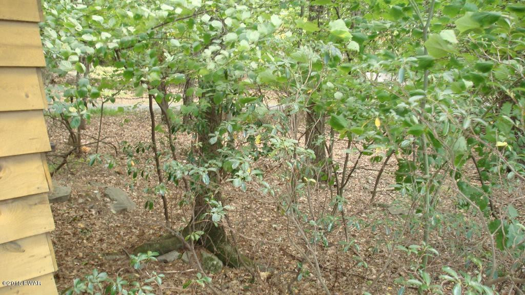 Pine Park Road Greentown, PA 18426 - Photo 18 of 21