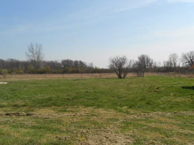 13707 Norman Road Yale, MI 48097 - Photo 6 of 19 31124743-5.JPG