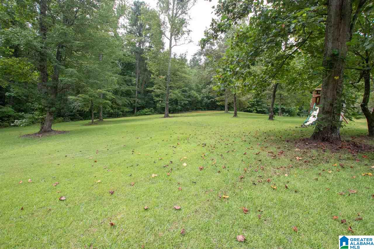 2454 Red Hill School Road Hayden, AL 35079 - Photo 47 of 47