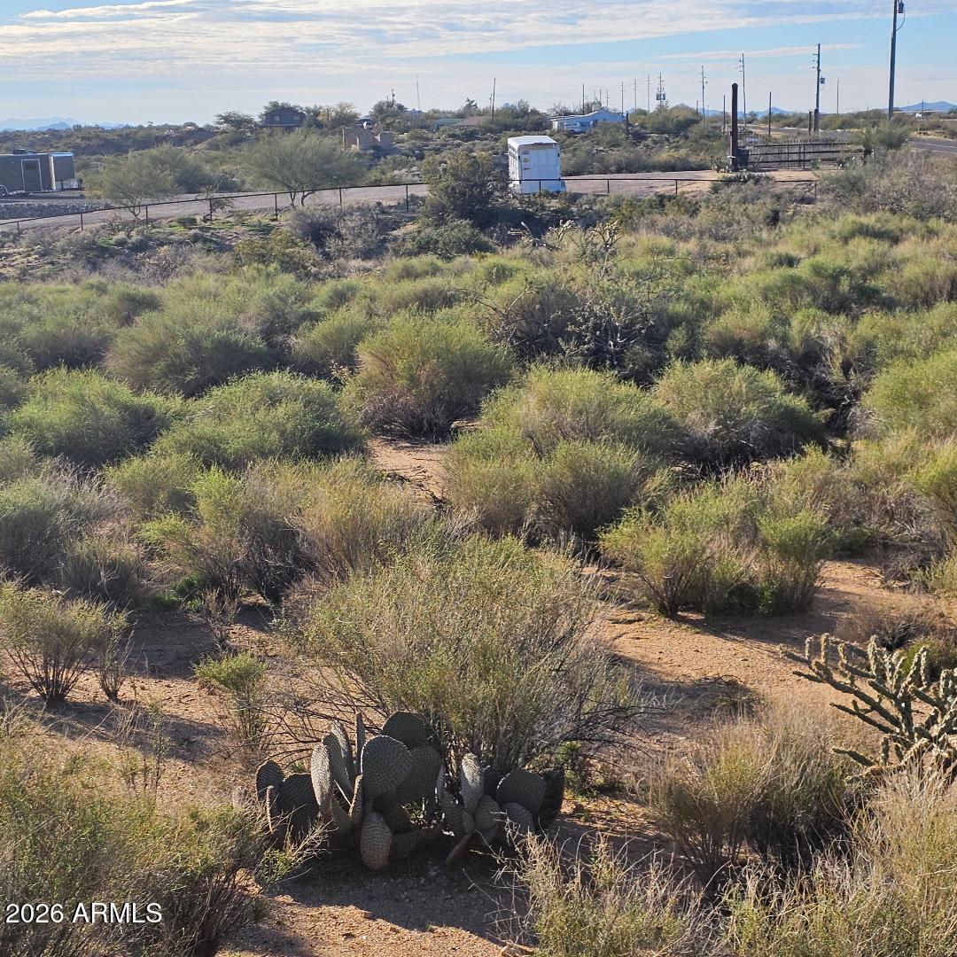 22290 Gayle Court, Unit 61 Congress, AZ 85332 - Photo 9 of 10 a view of a bunch of trees and bushes