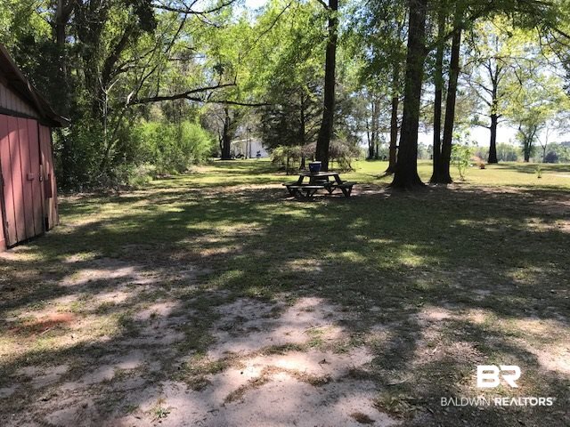 1176 County Road 22 Evergreen, AL 36401 - Photo 14 of 15 Yard