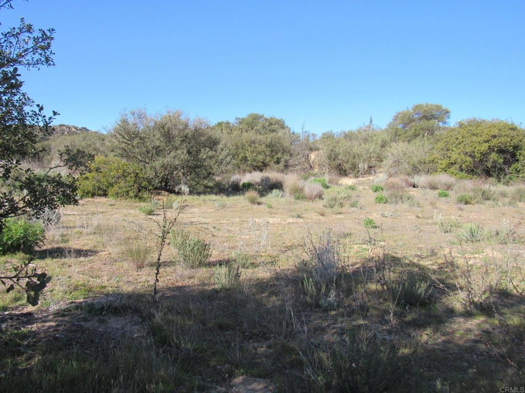 4-38 Buckman Springs Road Campo, CA 91906 - Photo 4 of 11 a view of a yard