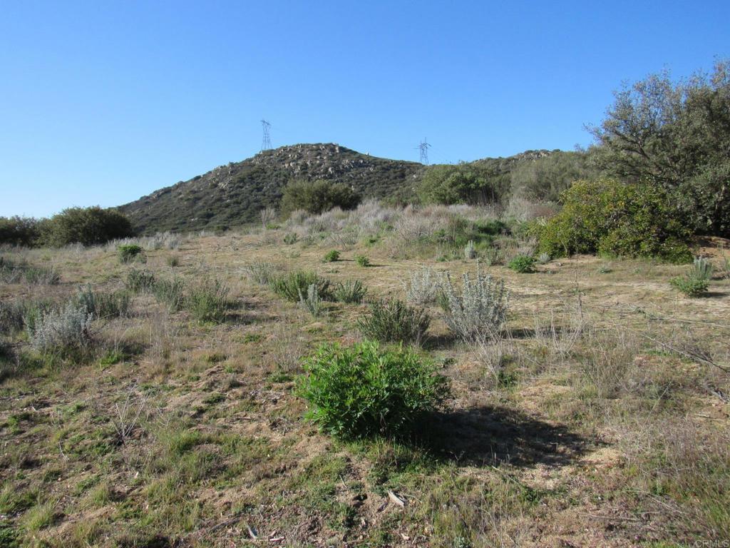 4-38 Buckman Springs Road Campo, CA 91906 - Photo 6 of 11 a view of a dry yard with green space