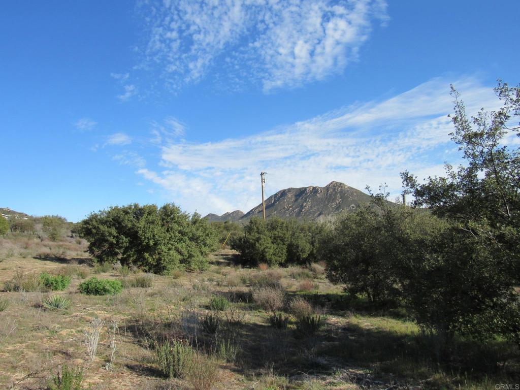 4-38 Buckman Springs Road Campo, CA 91906 - Photo 7 of 11 a view of a green field