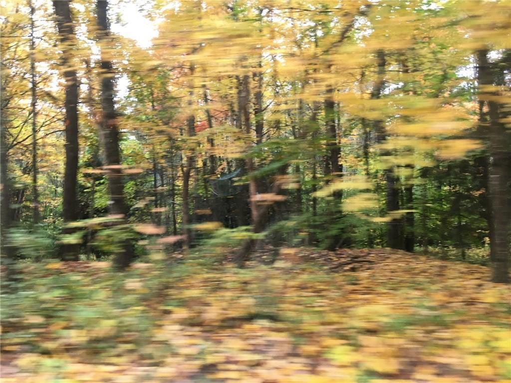 6-acres Moody Road Standish, ME 04084 - Photo 3 of 5 Photo