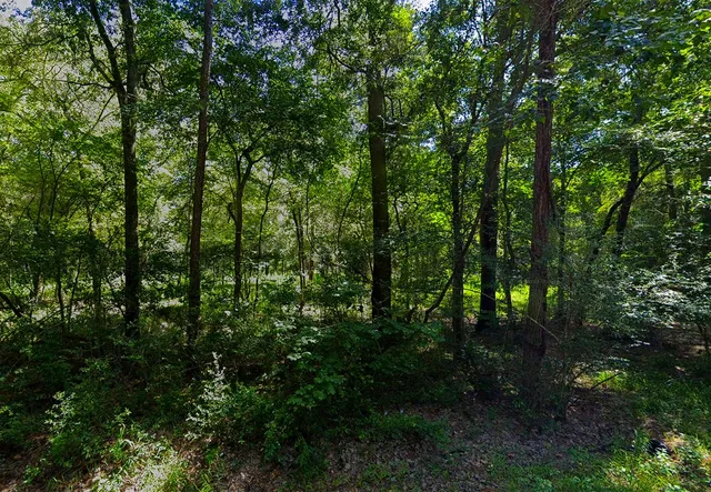 $43,000 | 0 Pine Creek Road, Hockley, TX 77447