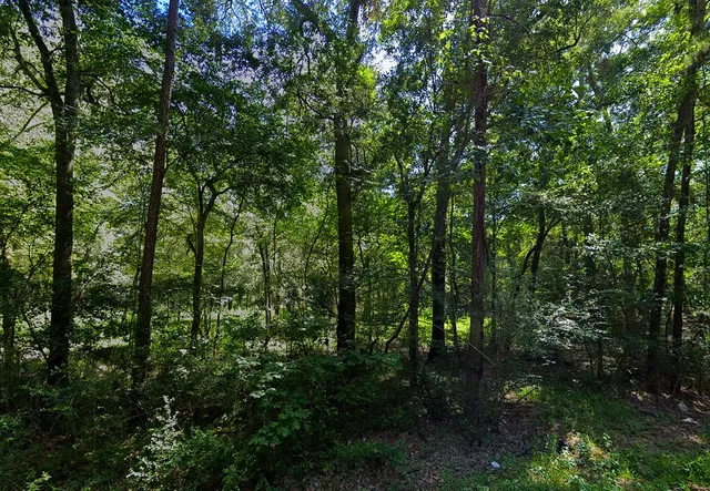 $43,000 | 0 Pine Creek Road, Hockley, TX 77447