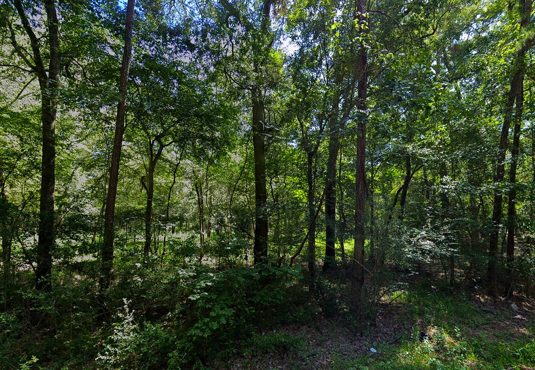 0 Pine Creek Road Hockley, TX 77447 - Photo 2 of 4