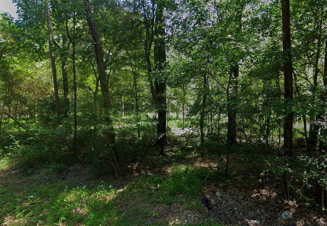 0 Pine Creek Road Hockley, TX 77447 - Photo 3 of 4