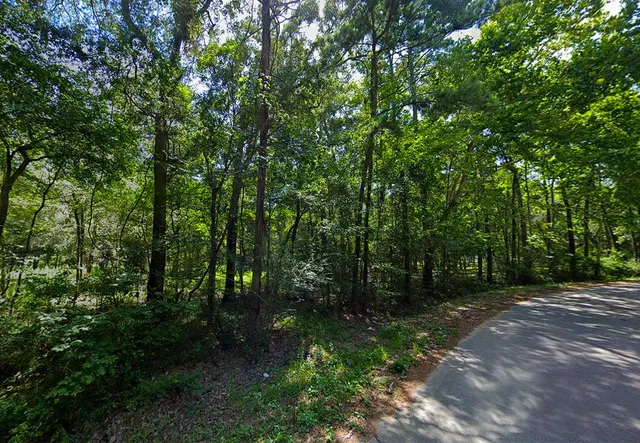 $43,000 | 0 Pine Creek Road, Hockley, TX 77447