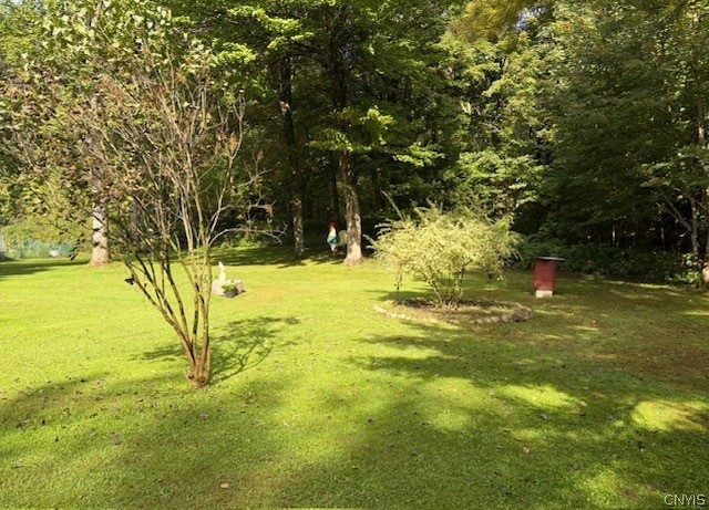 11205 Jones Road Remsen, NY 13438 - Photo 22 of 31 Gallery Image 22