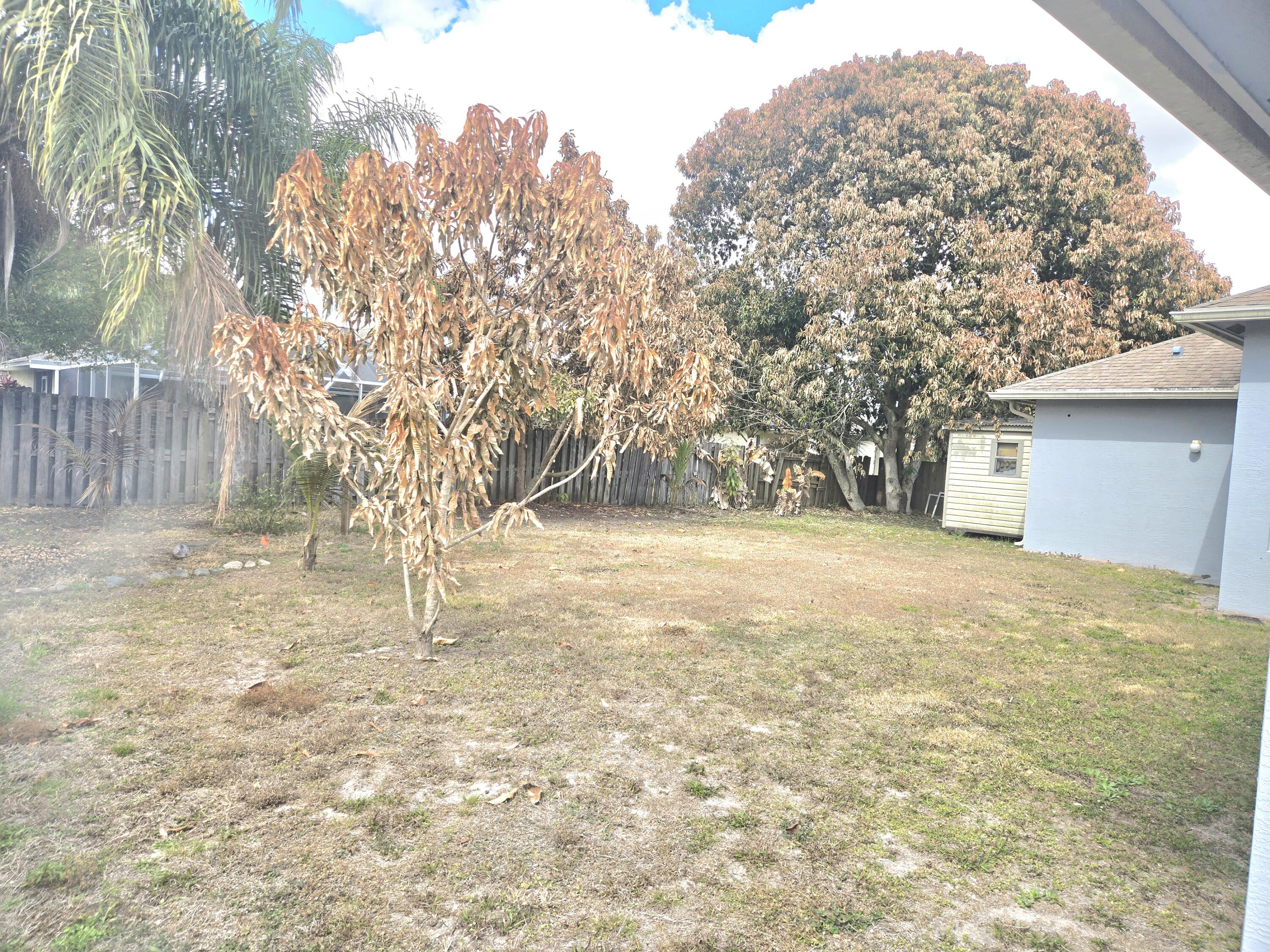 2472 Southwest Valnera Street Port St. Lucie, FL 34953 - Photo 29 of 30 a view of yard and tree