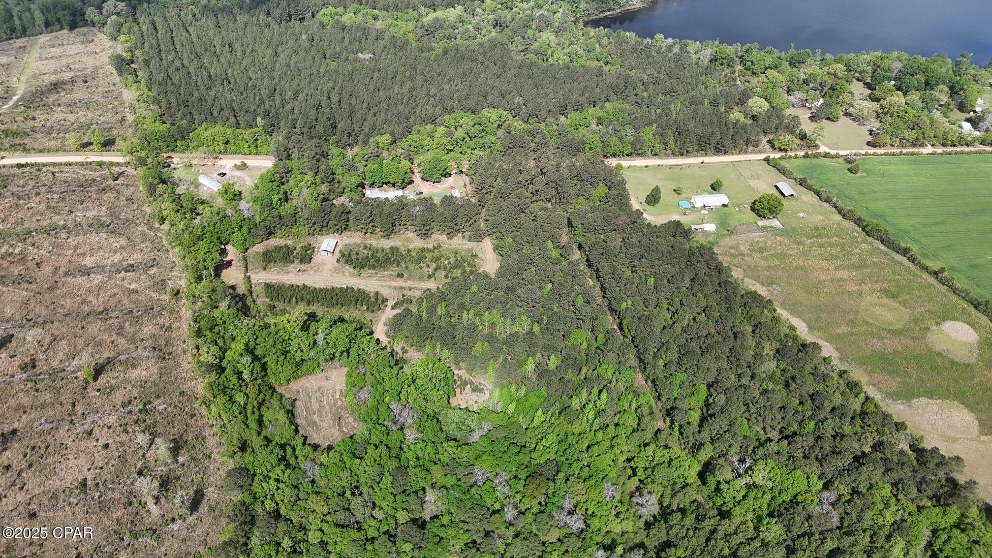 0 Lake Victor Road Westville, FL 32464 - Photo 3 of 15 Gallery Image 3