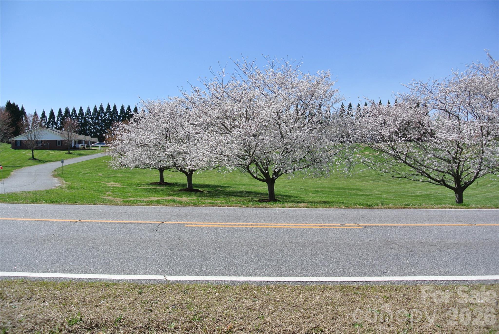 0 Hudlow Road Forest City, NC 28043 - Photo 5 of 13 a view of a park with large trees