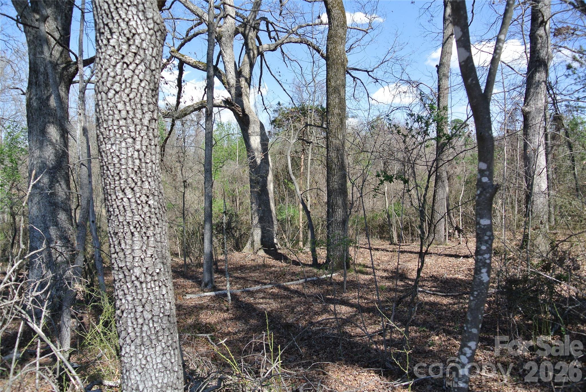 0 Hudlow Road Forest City, NC 28043 - Photo 8 of 13 a view of backyard with tree