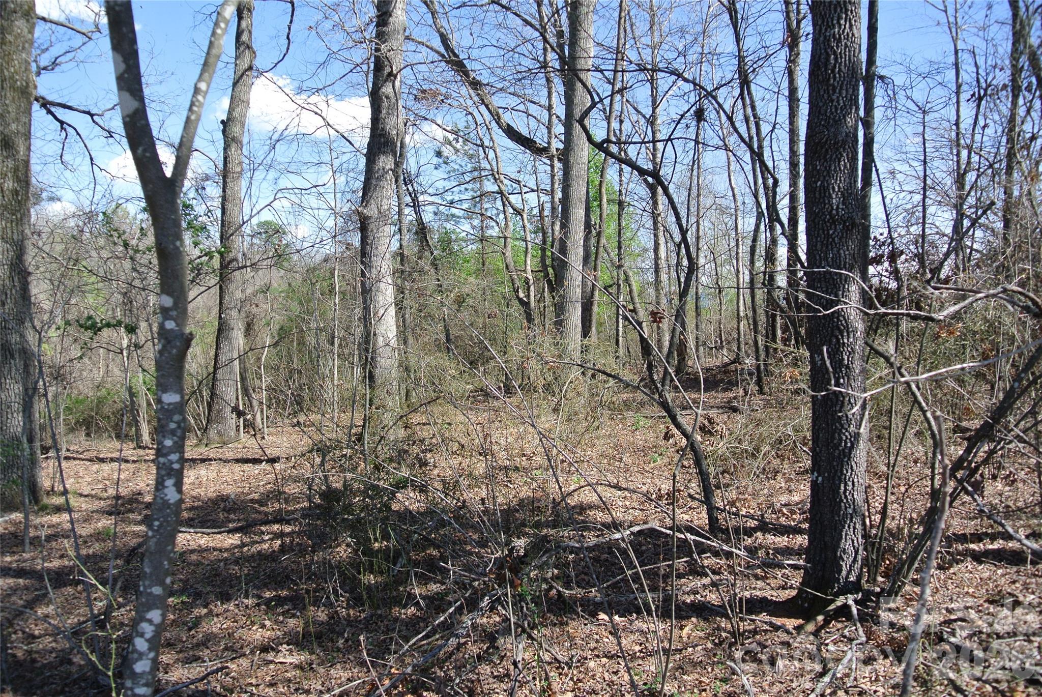0 Hudlow Road Forest City, NC 28043 - Photo 9 of 13 a view of forest