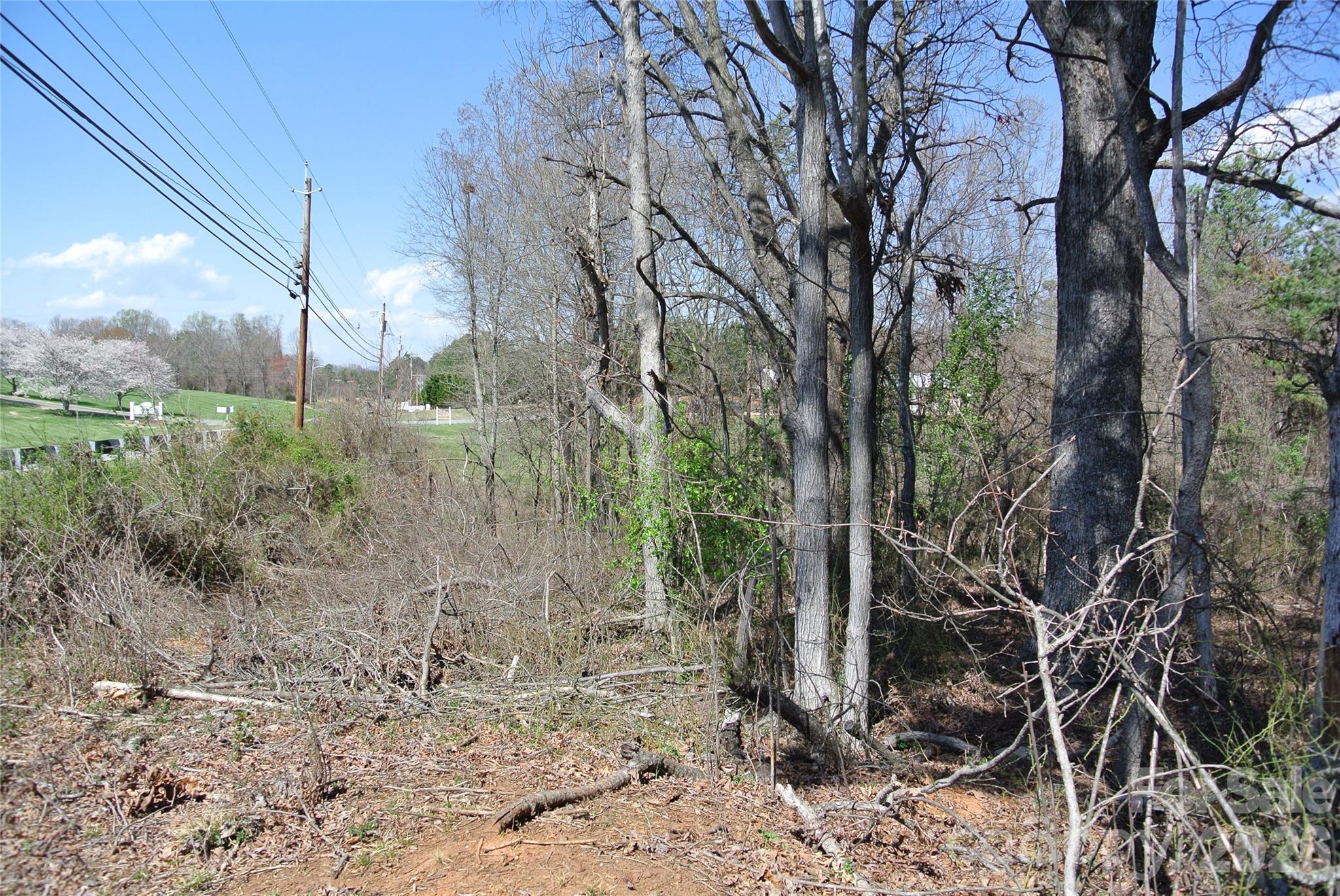 0 Hudlow Road Forest City, NC 28043 - Photo 10 of 13 a backyard of a house with lots of green space