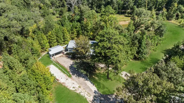 $525,000 | 905 County Road 4914, Ben Wheeler, TX 75754