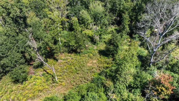 $525,000 | 905 County Road 4914, Ben Wheeler, TX 75754