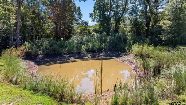 $525,000 | 905 County Road 4914, Ben Wheeler, TX 75754