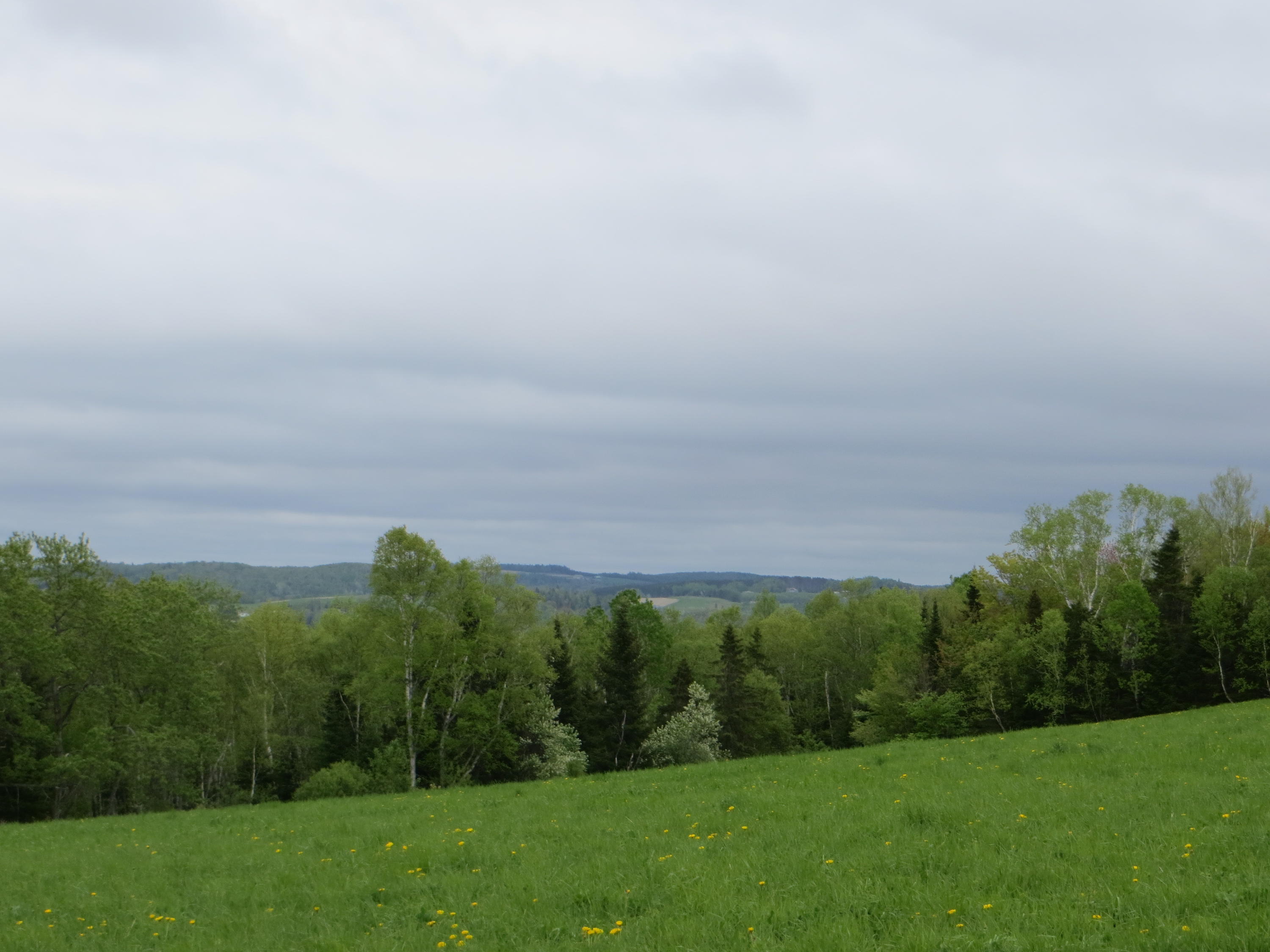 112 Ramsey Road Fort Kent, ME 04743 - Photo 7 of 20 IMG_9136