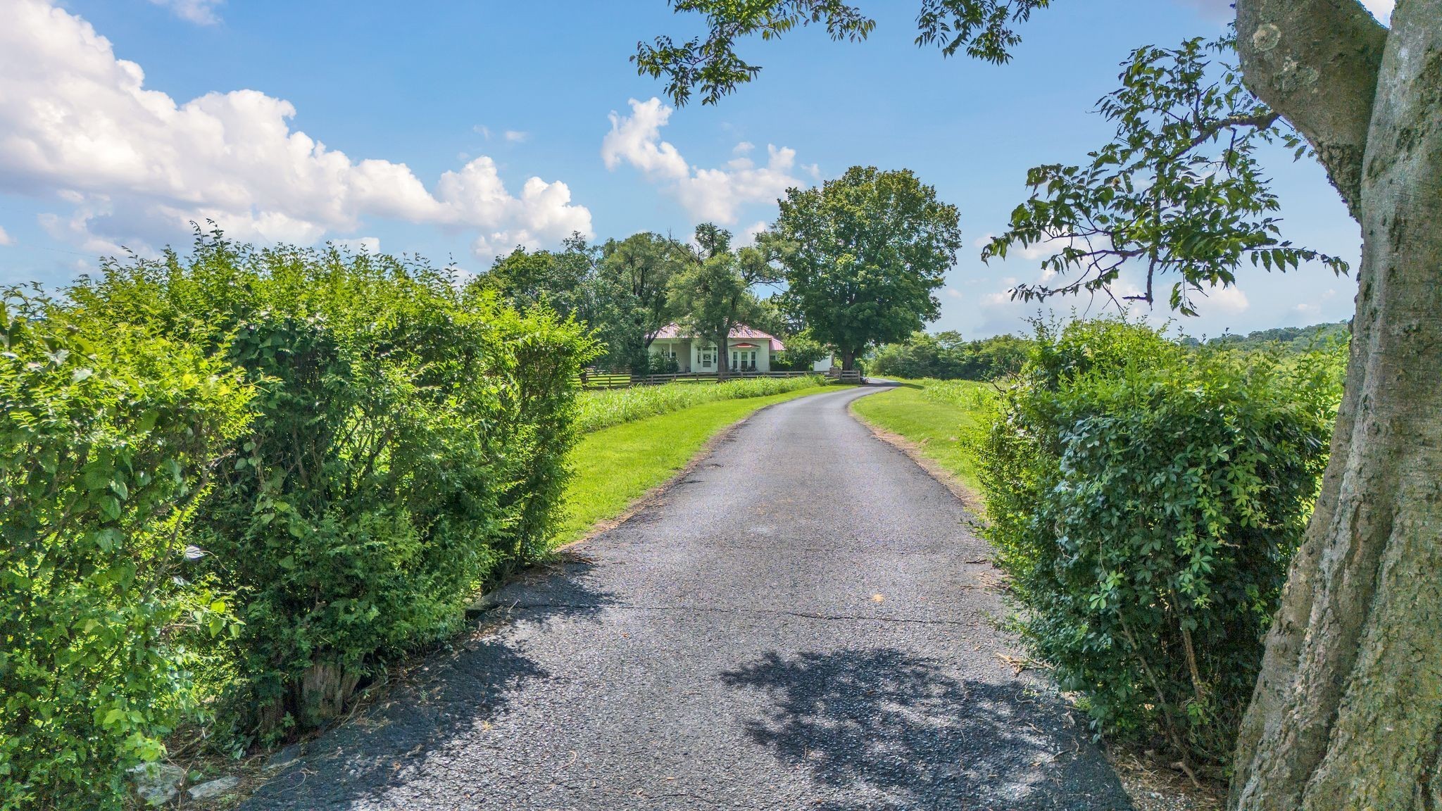 4125 Trinity Road Franklin, TN 37067 - Photo 8 of 44 a view of a pathway with a park