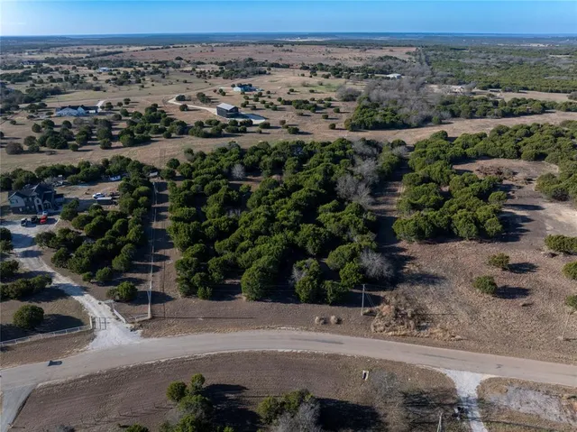 a plant with lots of trees